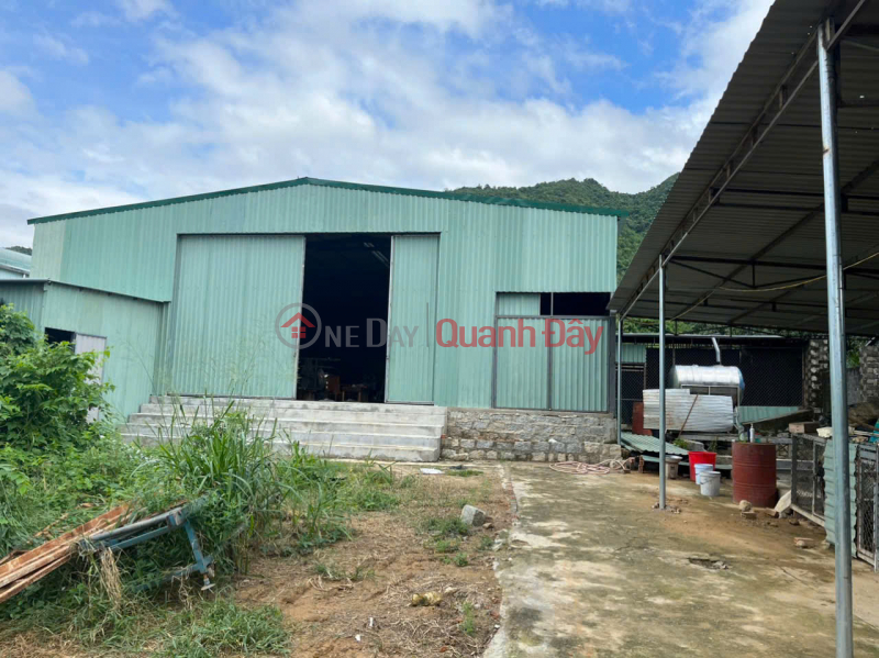OWNER SELLS WHOLESALE WAREHOUSE Frontage of TL3 asphalt road (66m),Suoi Tan, Khanh Hoa Sales Listings