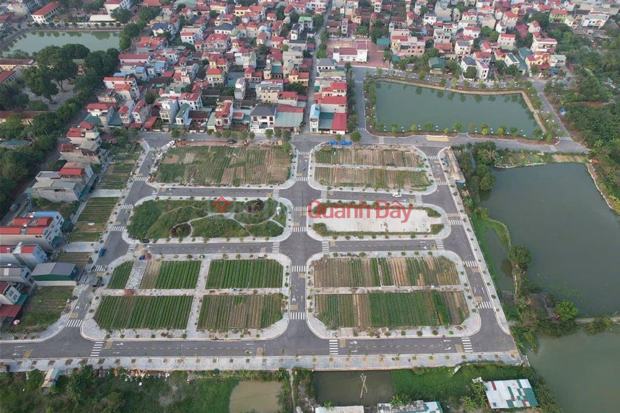 đ 2.95 Billion Auction of 44 plots of land X6 Ha Lo Village, Lien Ha, Dong Anh, City. Hanoi.