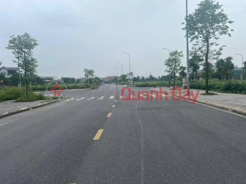 Land for sale in Bao Long New City Urban Area, 80 - 100 m² _0