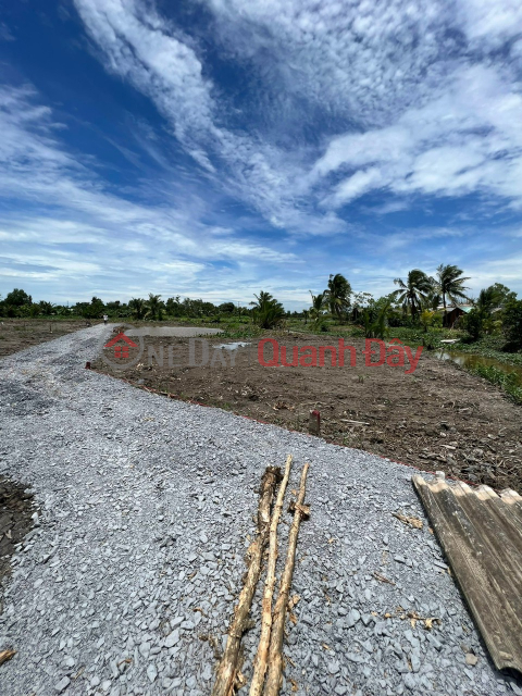 Garden land: Binh Trinh Dong - Tan Tru - Long An _0