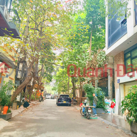 Ô tô tránh, mặt ngõ kinh doanh phố Trần Quang Diệu 54m² x 6T x MT 4.1m – 20,4 tỷ _0