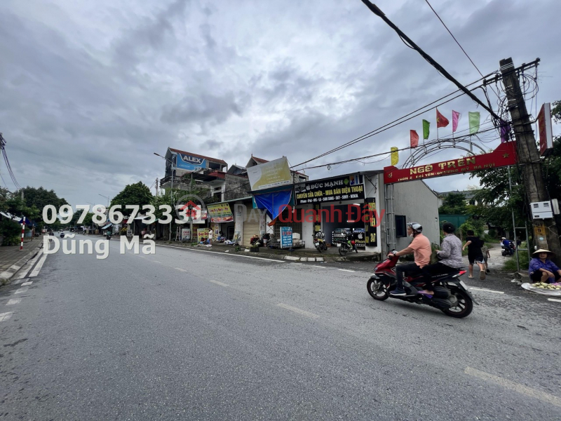 67.1M LOT OF LAND FOR SALE MAIN BUSINESS AXLE AT PROVINCIAL ROAD 419 DAI YEN-CHUONG MY, Vietnam Sales | đ 2.9 Billion