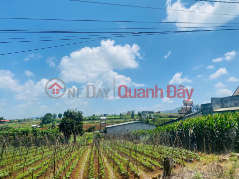 LAND FOR SALE, 216m2, LIEN HIEP - DUC TRONG - LAM DONG, PRICE 2 BILLION VND _0