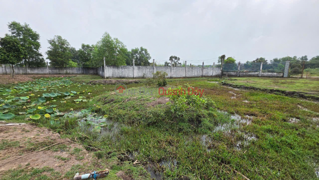 BEAUTIFUL LAND LOT - INVESTMENT IS PROFITABLE - Land for Sale in Duc Lap Ha Commune, Duc Hoa, Long An | Vietnam Sales, đ 46 Billion