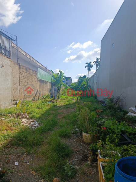 The owner needs to sell the land in front of Ha Huy Giap Street, Thanh Loc Ward, District 12, Ho Chi Minh City bordering Go Vap District (5 minutes) Vietnam | Sales | đ 14.5 Billion