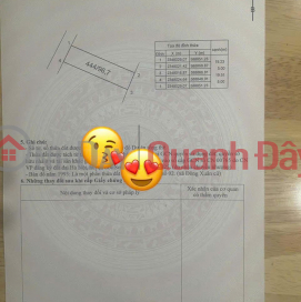 Need money, selling quickly a plot of land in Thuong Village, Soc Son Commune, area 96.7m2, investment price. Need money, selling quickly a plot of land in Thuong Village, Soc Son Commune, area 96.7m2, investment price. _0