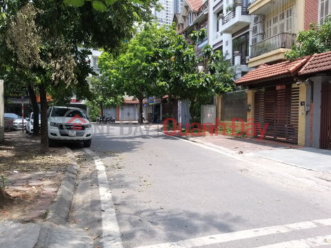 Villa for rent 220m2, 1 basement, 4 floors, Phung Khoang National Assembly residential area _0