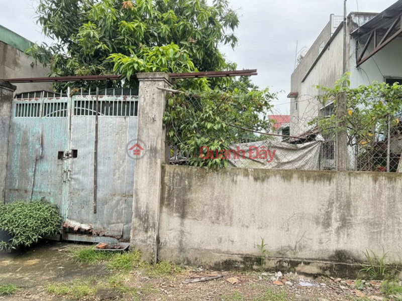 Land expanding to the back, SHR HXH 274m2 - Le Thi Lo, Hoc Mon Sales Listings