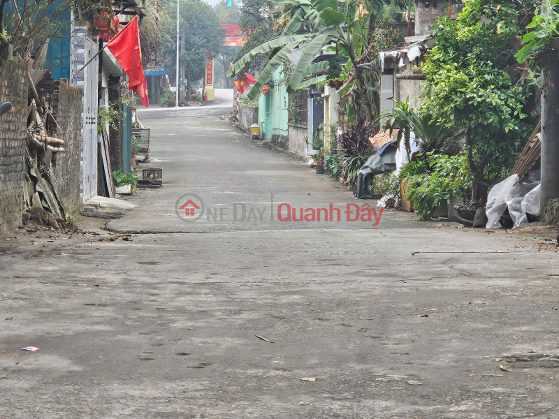 BEAUTIFUL LAND FOR SALE AT GOOD PRICE - IN THE CENTER OF TAN THINH WARD - HOA BINH CITY Sales Listings