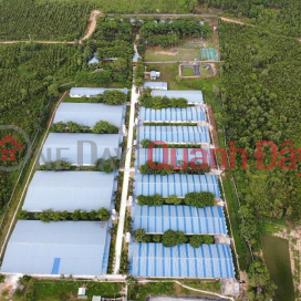 PRIMARY LAND - GOOD PRICE - Pig Farm For Sale In Xuan Bac Commune, Xuan Loc - Dong Nai _0