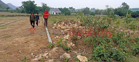 RARE! OWNER'S LAND - SUPER INVESTMENT PRICE - Thach Thanh, Thanh Hoa _0