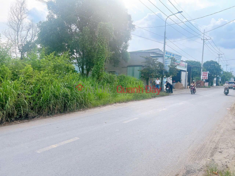 Property Search Vietnam | OneDay | Residential Sales Listings, PRIME LAND FOR OWNER - GOOD PRICE - For Quick Sale Land Lot Frontage on Lo Ho Street, An Phuoc, Long Thanh, Dong Nai