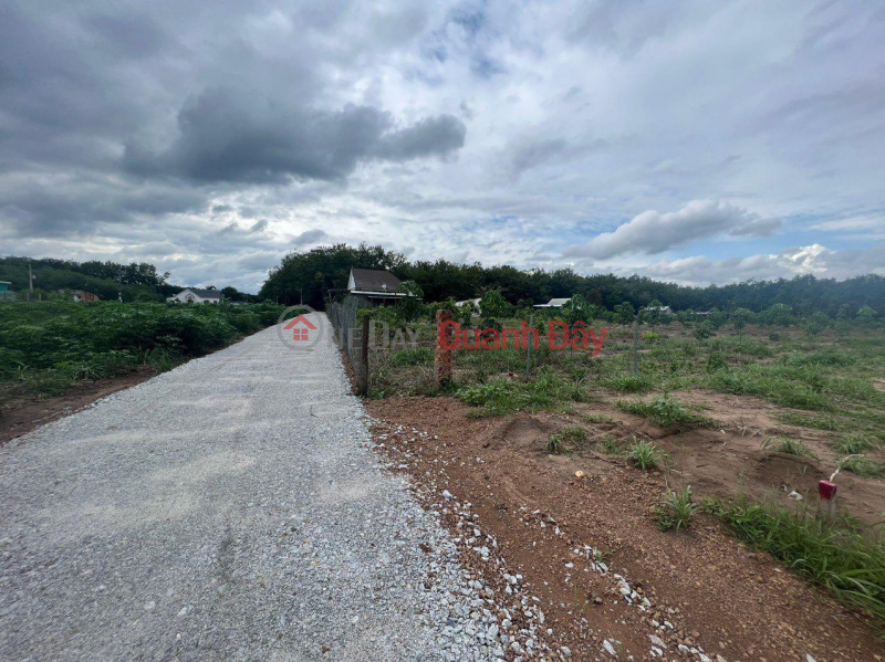 Property Search Vietnam | OneDay | Residential Sales Listings | BEAUTIFUL LAND - GOOD PRICE - Owner Needs to Sell Land Lot in MINH THANG, TON THANH, BINH PHUOC