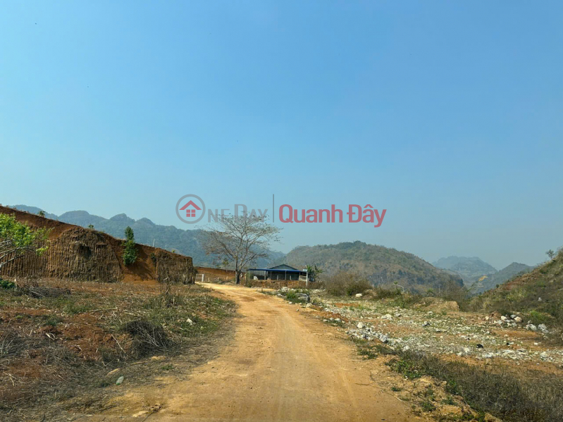 đ 13 Billion, Plum hill land for sale in Moc Chau, area 3 hectares near tourist center, investment price.