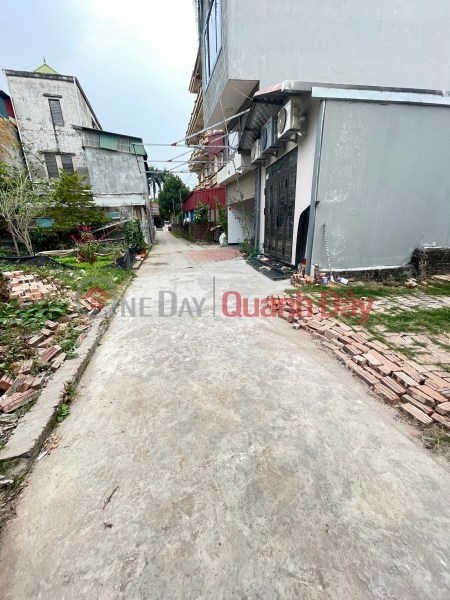 Property Search Vietnam | OneDay | Residential | Sales Listings | Van Noi Dong Anh land for sale 66m next to high school, cheap car road, only 3X