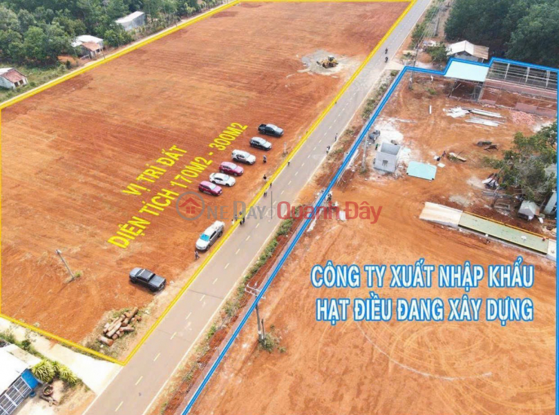 Cheap land in Binh Phuoc only 168 million, immediately own 175m2 of land and get 2 taels of gold for investors, Vietnam | Sales đ 168 Million