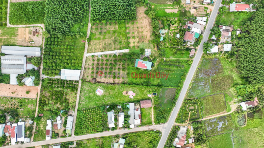 QH Full residential plot of land 500m2 at Suoi Tien - Dien Khanh! The owner offers a shocking discount Sales Listings