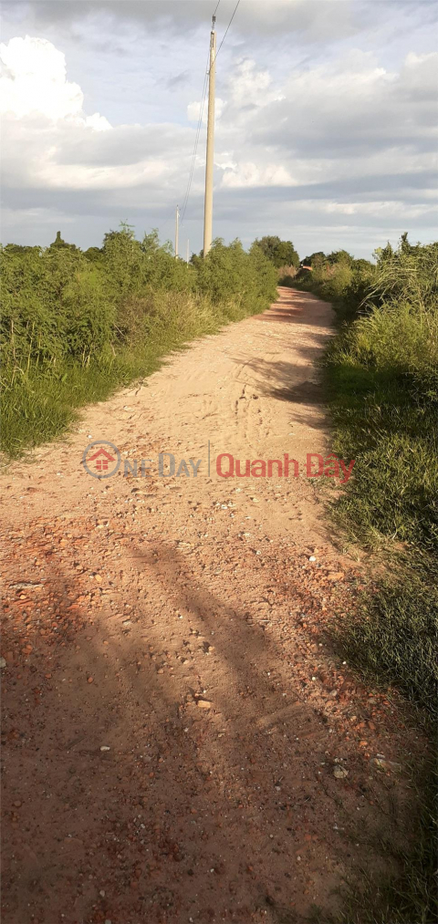 BEAUTIFUL LAND - GOOD PRICE - QUICK SELL LAND Plot in Hong Thai Commune, Bac Binh District, Binh Thuan _0