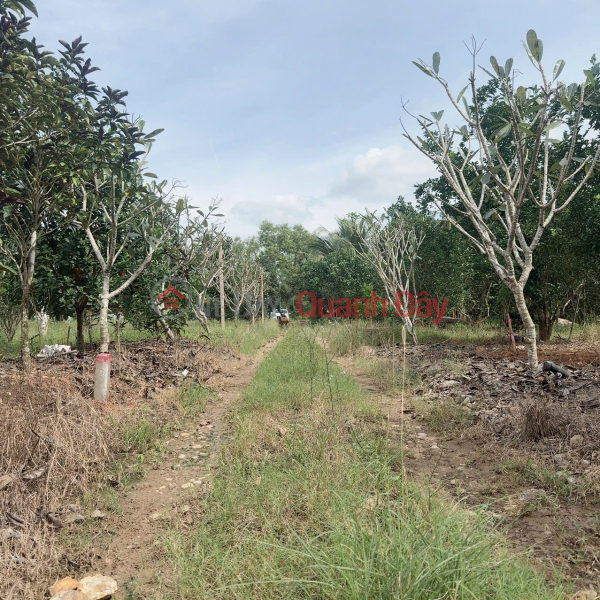 Garden land in Dien Xuan - Dien Khanh - Khanh Hoa. Suitable for building a farm. Sales Listings