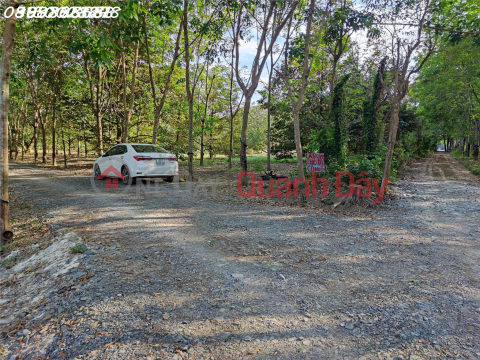 2000m2 of super nice garden land for sale, super cheap price in Chau Thanh, Tay Ninh _0