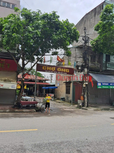 LAND FOR SALE WITH FREE 4-level house 91m² IN VAN HA, DONG ANH - SUPER CHEAP PRICE! _0