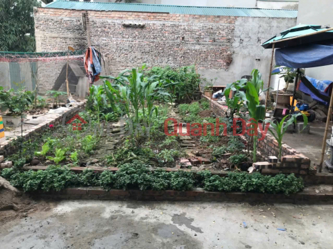 Chính chủ bán 34 m2 đất Trâu Quỳ, đường ô tô, giá chỉ 4.3 tỷ _0