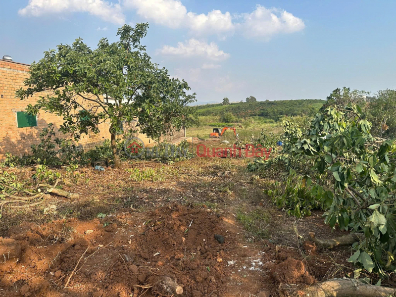 , Làm ơn chọn, Nhà ở Niêm yết bán, đ 8,8 tỷ