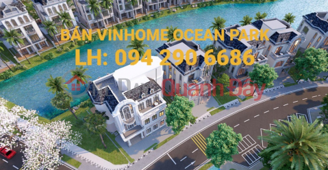 VINHOMES OCEAN PARK 2 QUỸ CĂN ĐẸP CHIẾT KHẤU 19,3%, TẶNG XE VF9 GIÁ 2,2 TỶ. ĐƠN GIÁ 100TR/M2. _0