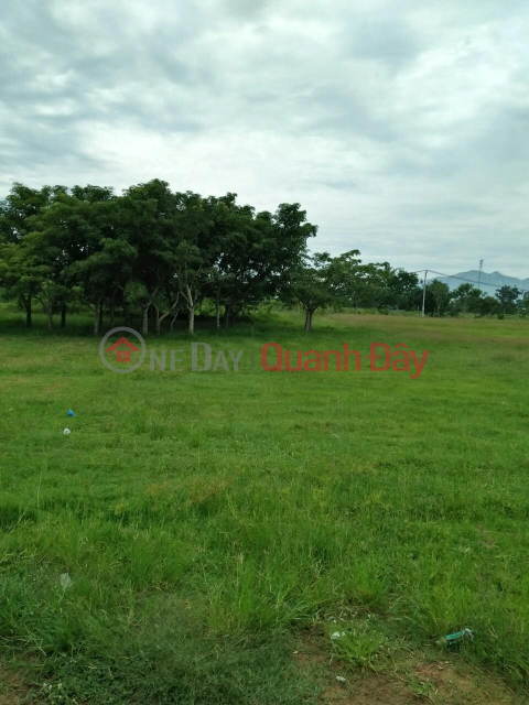 BEAUTIFUL LAND - GOOD PRICE - For Quick Sale Land Lot Prime Location In Nhi Ha Commune, Thuan Nam _0