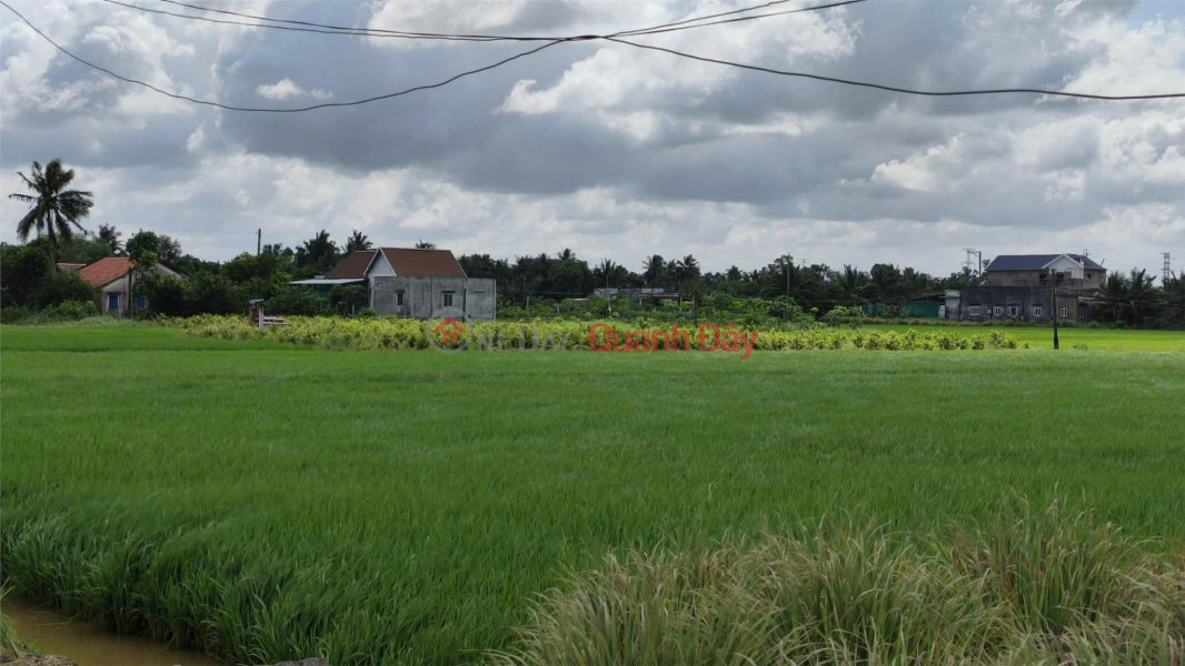 Beautiful Land - Good Price - Owner Needs to Sell a Lot of Land in a Good Location in Thanh Duc Commune, Ben Luc, Long An | Vietnam, Sales | đ 2.5 Billion