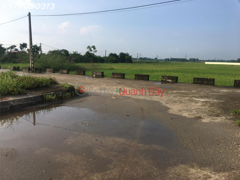 Property Search Vietnam | OneDay | Residential Sales Listings Land for sale at Xuan Canh Dong Anh auction near Vinhomes Co Loa project DONGANHLAND