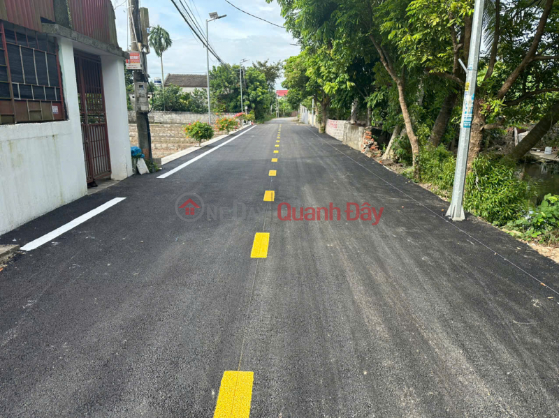 Property Search Vietnam | OneDay | Nhà ở Niêm yết bán, 5 lô đất mặt đường 8m Đại Trang - Sát KCN Tràng Duệ 3 - Cơ hội đầu tư và kinh doanh hiếm có