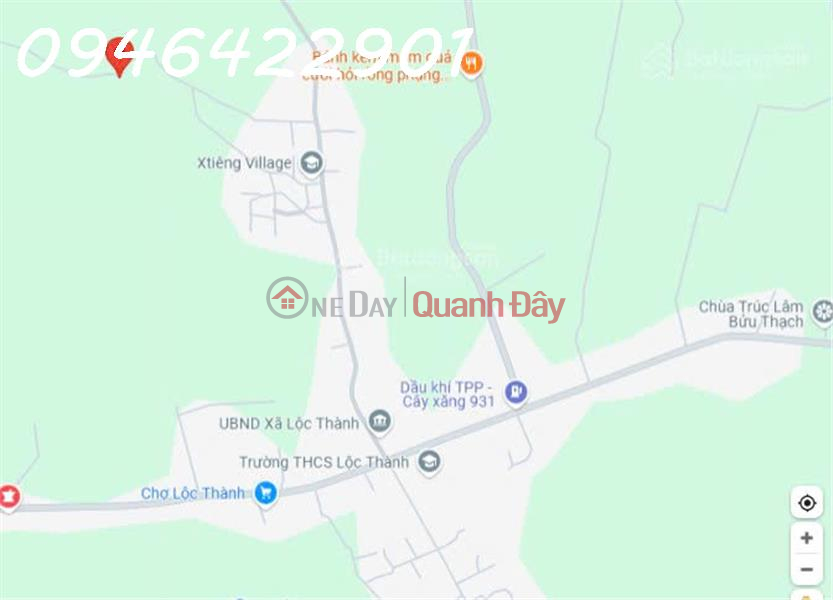 Land for sale in Loc Thanh, Loc Ninh, Binh Phuoc, Super Cheap Price 485 Million, 1016.7m2, Vietnam | Sales đ 485 Million