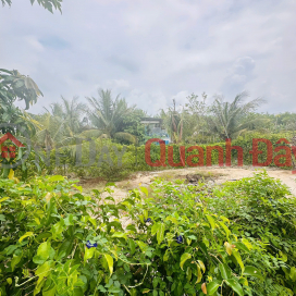 Đón Sóng Hạ Tầng Vũng Tàu - Sở Hữu Ngay 400M² Đất Vàng Greenery House Long Tân _0