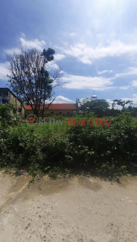 BEAUTIFUL LAND - GOOD PRICE - Quick Sale Right Land Lot Owner Nice Location In Dien Ban, Quang Nam _0
