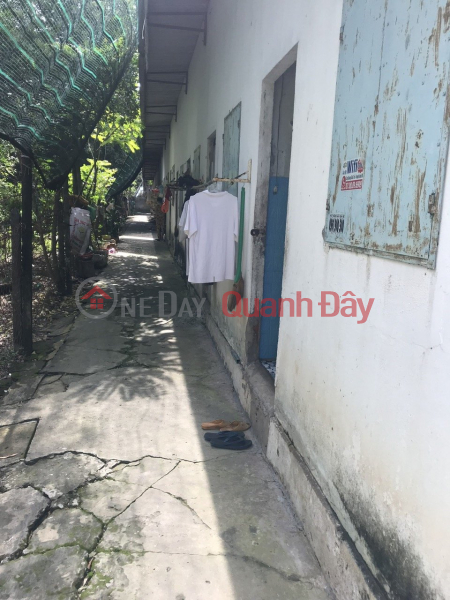 Property Search Vietnam | OneDay | Residential | Sales Listings | OWNER NEEDS TO SELL URGENCY Plot of Land with Beautiful Location in Cu Chi District, HCMC