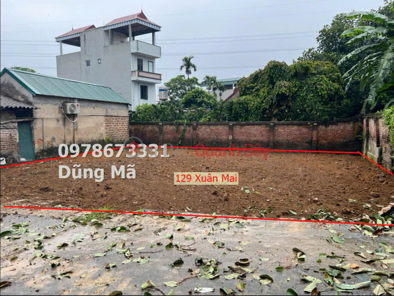 LAND FOR SALE IN XUAN MAI CENTER - CHUONG MY, AREA: 129M2 Sales Listings