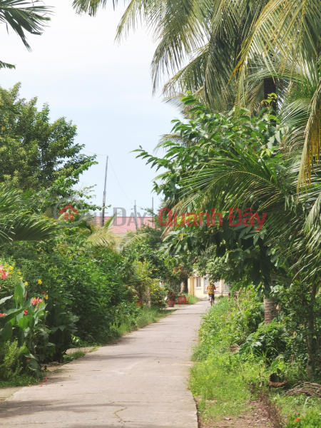 Selling 2 plots adjacent to the center of Long Phu Town Sales Listings