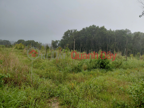 GREAT PRICE FOR INVESTORS - Opportunity to Own a Beautiful Plot of Land in a Prime Location in Phu Quoc, Kien Giang _0