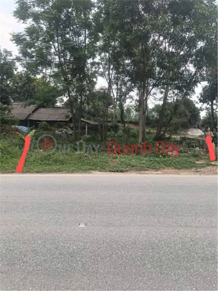 Owner Needs to Sell a Lot of Land on Highway 2 at KLM 47, Ham Yen, Tuyen Quang | Vietnam, Sales, đ 900 Million