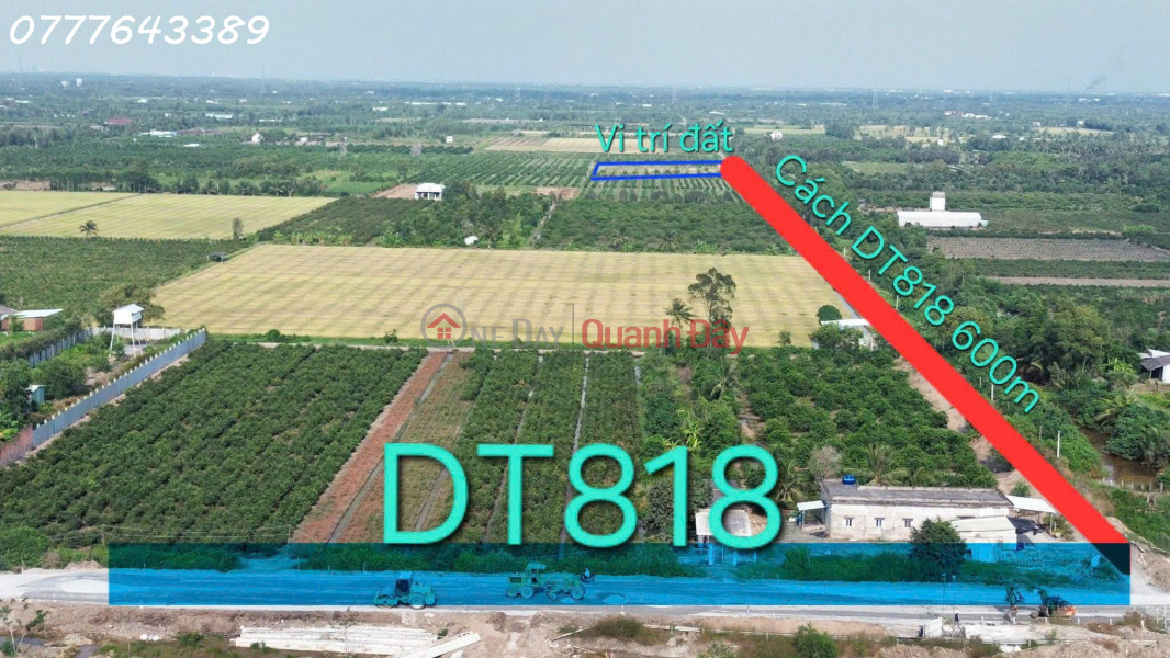 Rare find - Super beautiful garden land in Thu Thua, priced at 789 million VND \\/ area 1000 sq m., Vietnam, Sales đ 789 Million