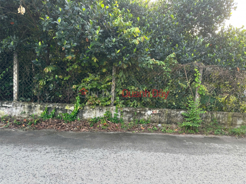 Owner Needs To Rent Vacant Land In Dinh Hoa Ward, Thu Dau Mot City, Binh Duong. | Vietnam | Rental, đ 20 Million/ month