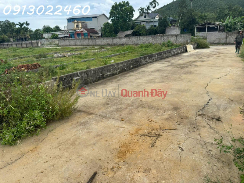 Property Search Vietnam | OneDay | Residential | Sales Listings | TRANSFER OF LAND PLOT OF 227M2 IN TU PHU COMMUNE, THANH THUY DISTRICT, PHU THO PROVINCE