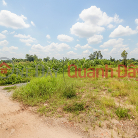 D1751 ️ đất Thạnh Xuân 52 Hóc Môn, SHR, HXT, 26x46m, 5.x tỷ _0