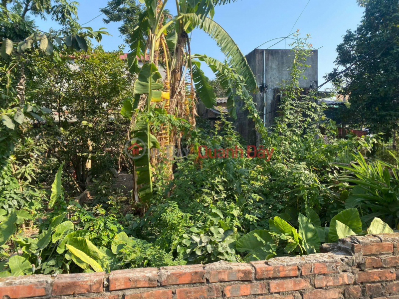 đ 5 tỷ BÁN ĐẤT ĐÔNG DƯ – BÁT TRÀNG 41,7m² Ô TÔ VÀO SÁT NHÀ CẠNH HỒ ĐIỀU HÒA GIÁ CHỈ 5 TỶ
