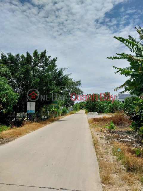 The owner needs to sell quickly 02 lots of land adjacent to the frontage in Chau Thanh, Kien Giang _0