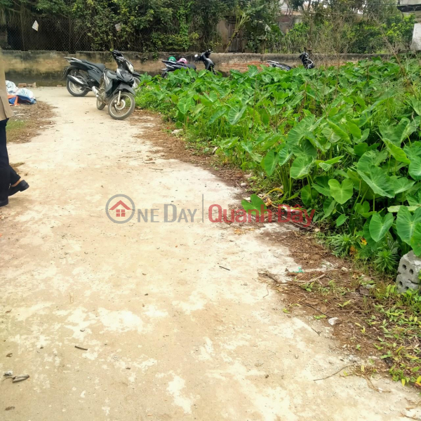 Property Search Vietnam | OneDay | Residential, Sales Listings | Selling 720m2 of land in Chuong Duong, Thuong Tin.