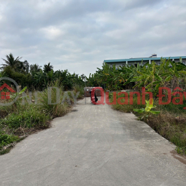 Đất thổ cư 87m² Quý Kim – Hợp Đức – Đồ Sơn Cách đường 353 hơn 100m Giá đầu tư hiếm khu dân cư ZALO 0567 _0