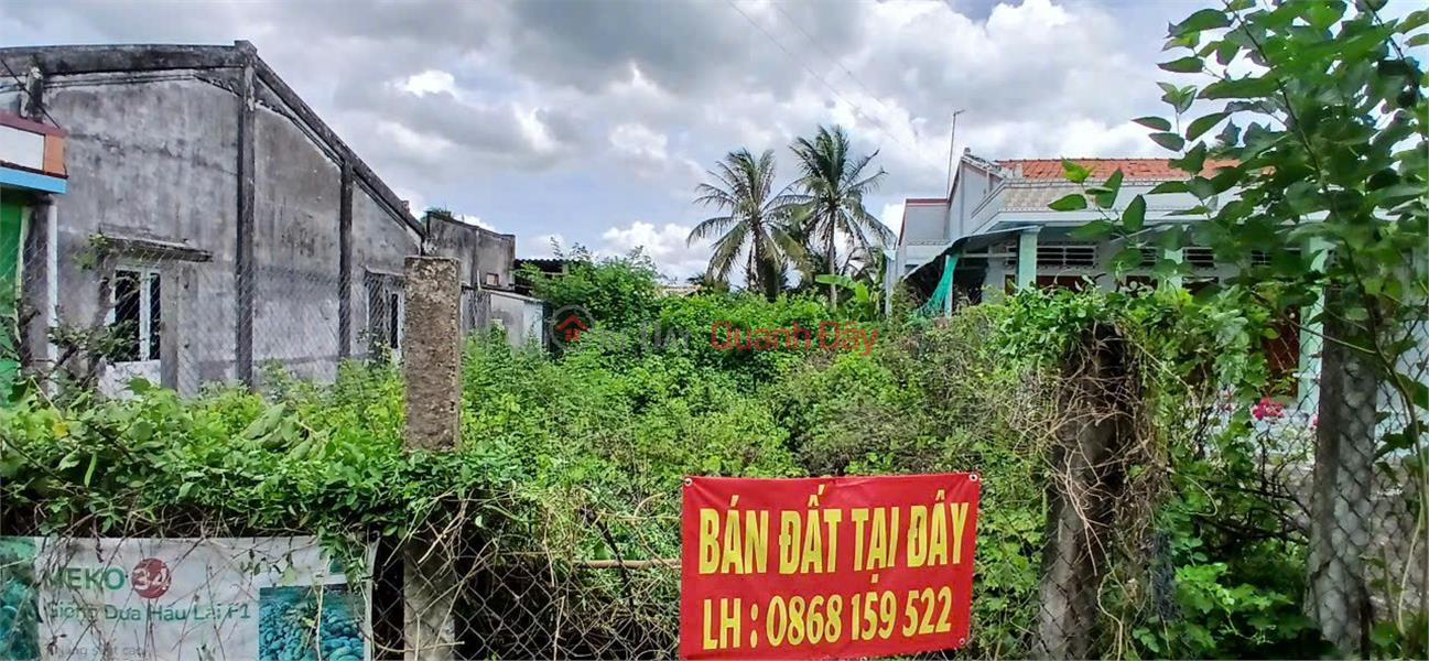 HOT !!! Owner - Good Price - Land for Sale in Binh Dong Trung - Binh Nhi Commune - Go Cong Tay - Tien Giang Sales Listings