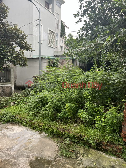 Cao Lo land for sale, 56m x 5m corner lot, 20m car lane, price slightly 2 billion Contact: 0936123469 _0